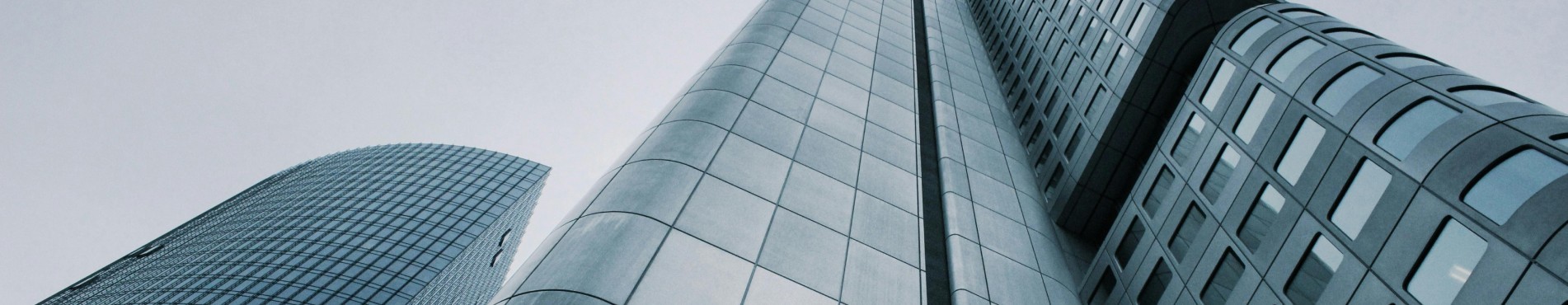 Directory Listing Form